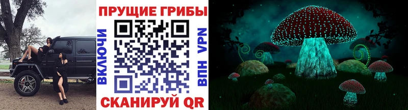 наркотики  Сургут  Псилоцибиновые грибы мухоморы 